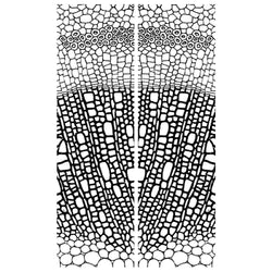 Rolling Mill Pattern, Cell Structure of Leaf (2” X 3.5”) by RMR