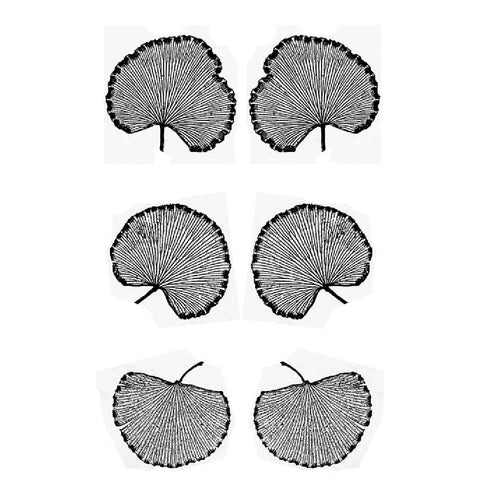 Rolling Mill Pattern, Leaf Adiatum reniforme (2” X 3.5”) by RMR