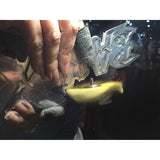 3M™ 3” 4-ply Radial Bristle Brush Green 1 Micron